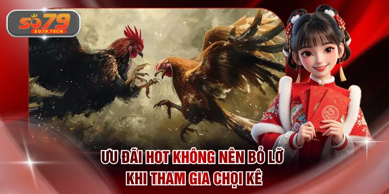 Ưu đãi hot không nên bỏ lỡ khi tham gia chọi kê